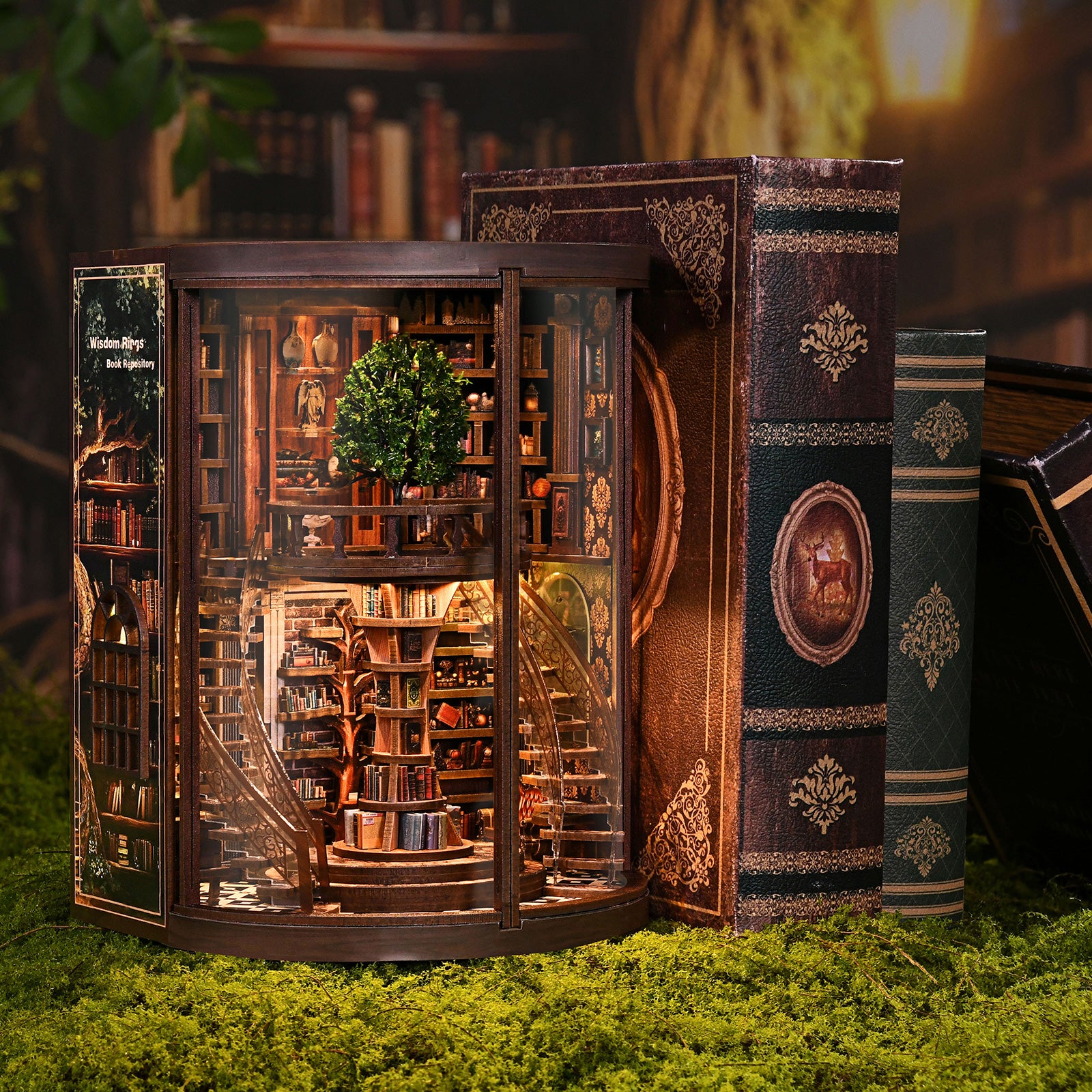 Wisdom Rings Library – aanvullende productfoto 4