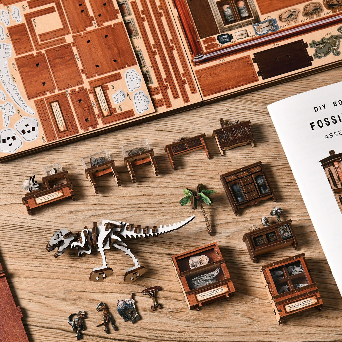 Fossielenmuseum – aanvullende productfoto 4
