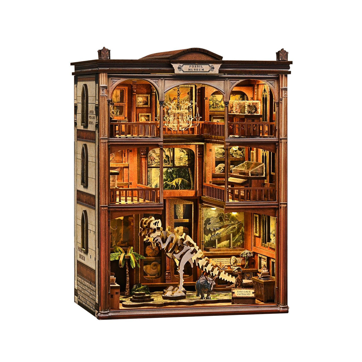 Booknook Fossielenmuseum - Assemblr