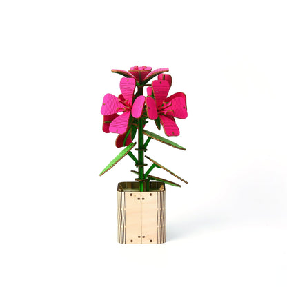 Geranium - Assemblr