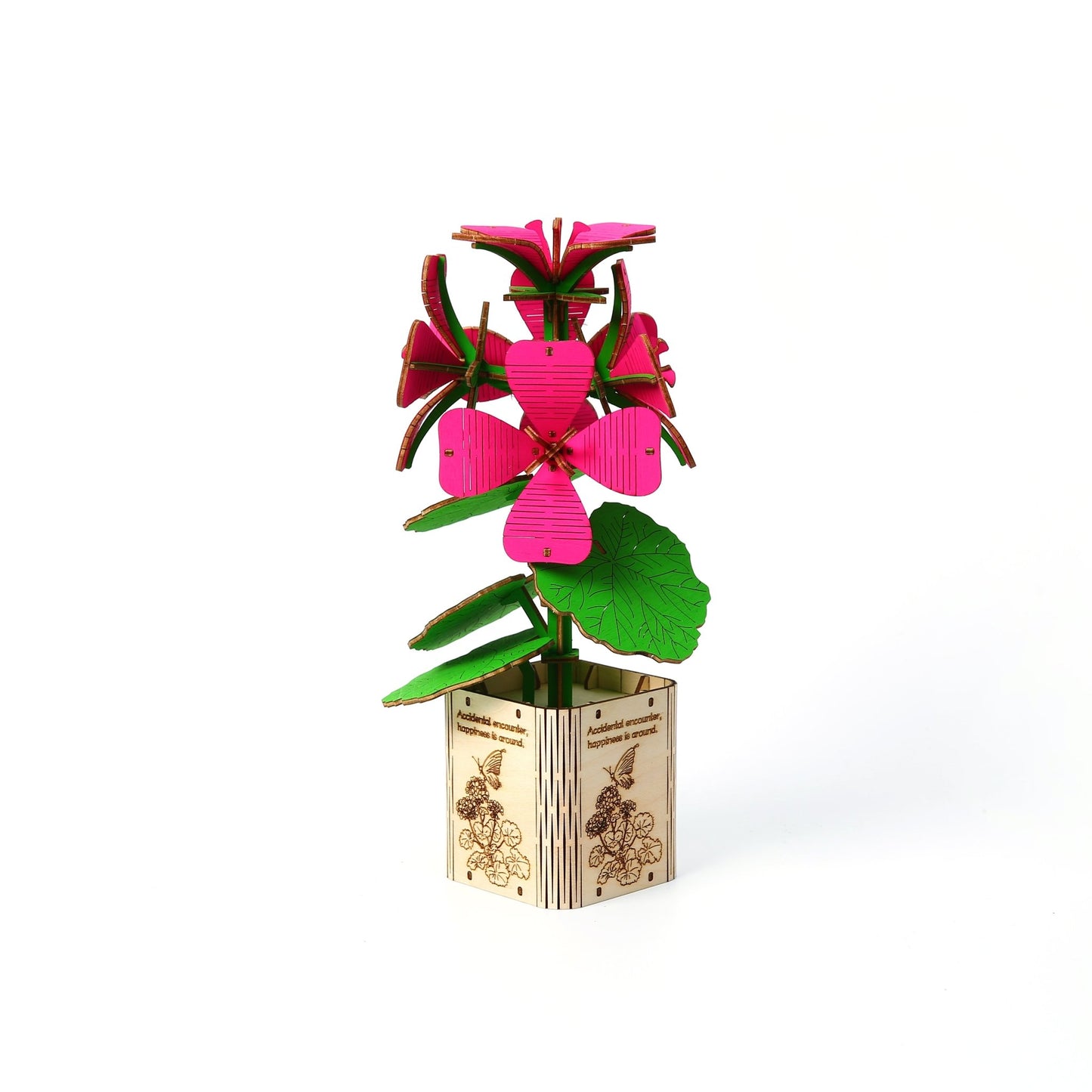 Geranium - Assemblr
