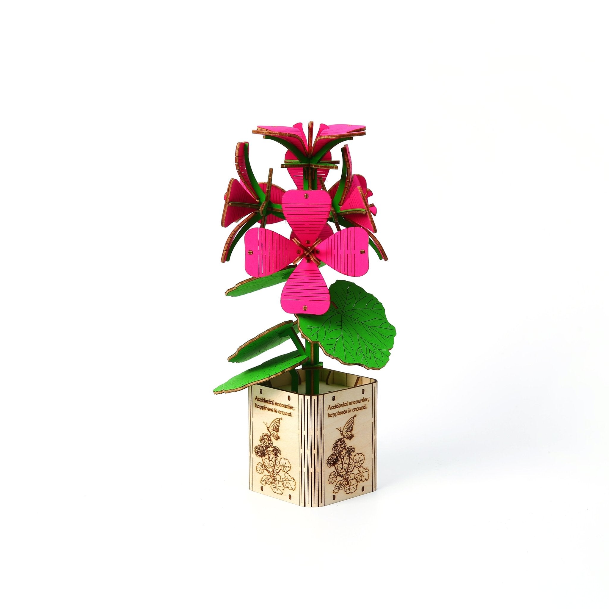 Geranium - Assemblr